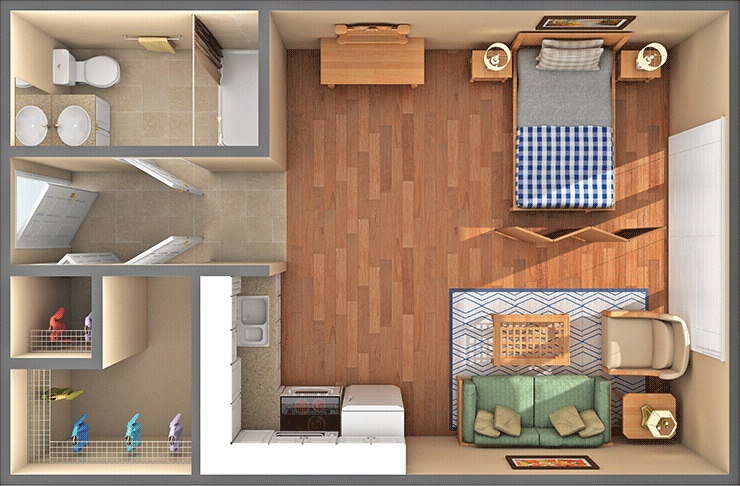 ADU and Garage Conversions