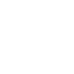 Cleaning Services icon